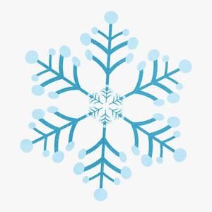 Meet your Posher, Janene